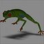 Green Tree Frog