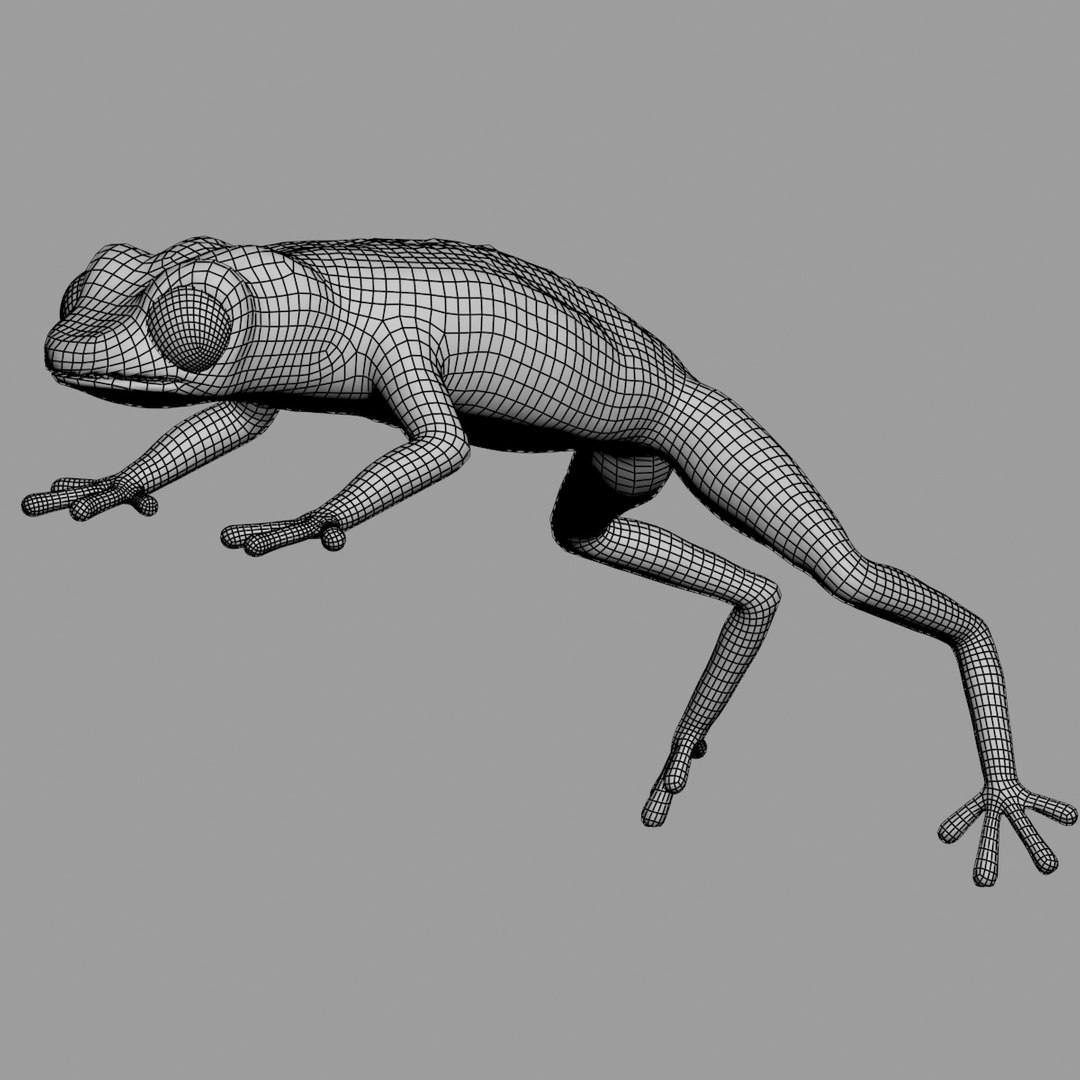 green tree frog 3d model https://p.turbosquid.com/ts-thumb/u7/ATQbik/cKse3z3I/frog_wire_01/jpg/1392577469/1920x1080/fit_q87/8781c9f8437bbf656fd39aab3bf4c04b6a0f60f5/frog_wire_01.jpg