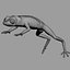 Green Tree Frog