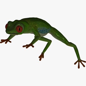 green tree frog 3d model