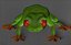 Green Tree Frog