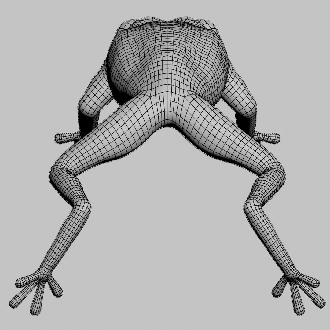 green tree frog 3d model https://p.turbosquid.com/ts-thumb/u7/ATQbik/mm8msbOL/frog_wire_04/jpg/1392577469/1920x1080/fit_q87/6862117668b8bc58dde9e05730b2744455eb4b0d/frog_wire_04.jpg