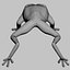 Green Tree Frog