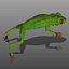 Green Tree Frog