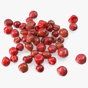 Red Dried Peppercorn