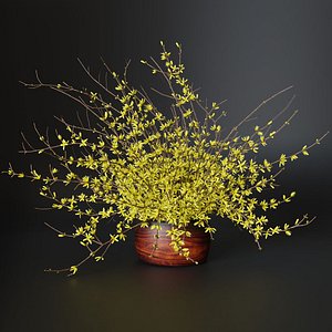 Bouquet of yellow flowers Forsythia