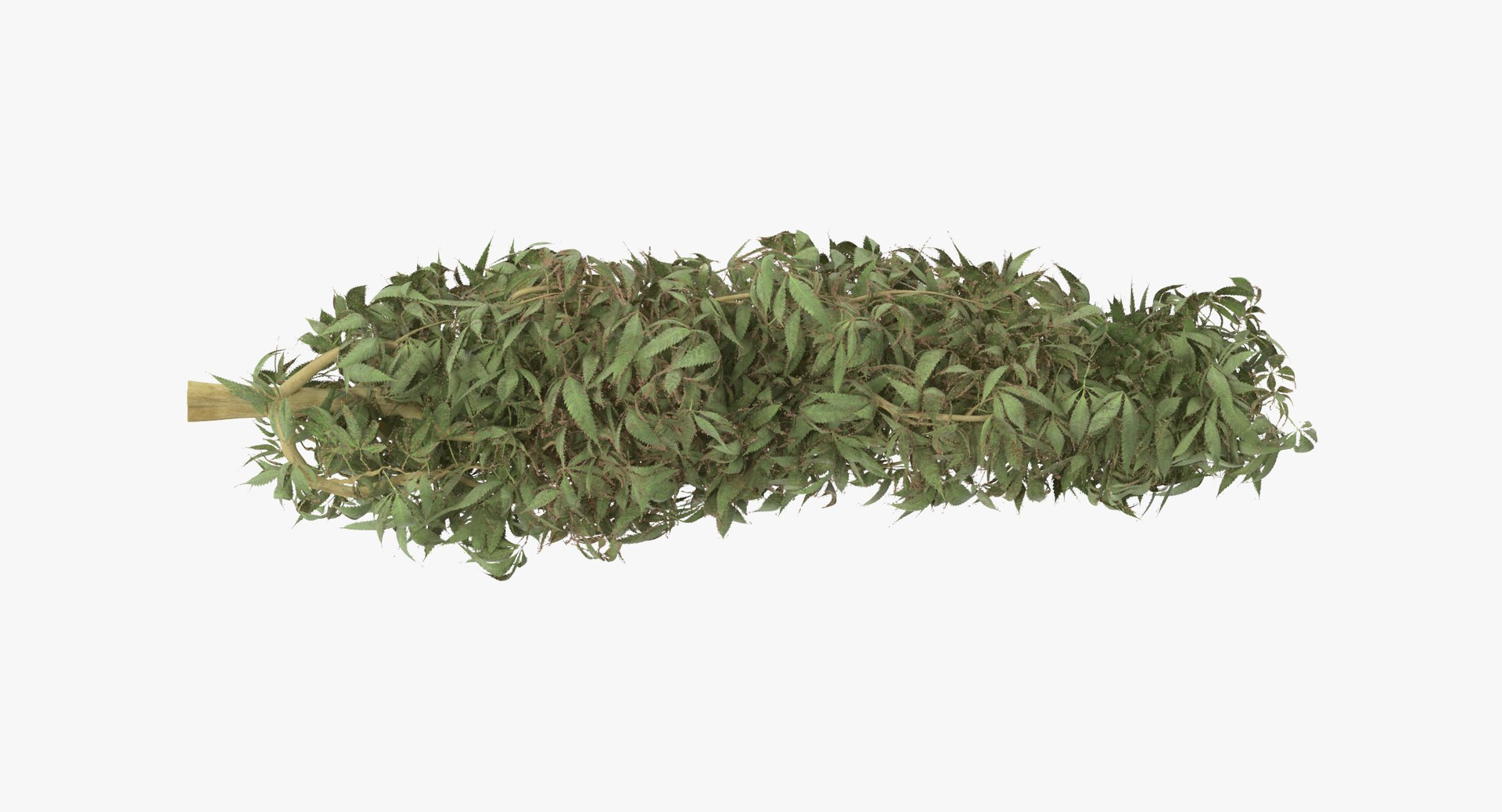 marijuana buds 01 3d model