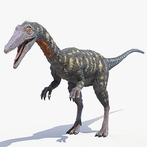 Coelophysis