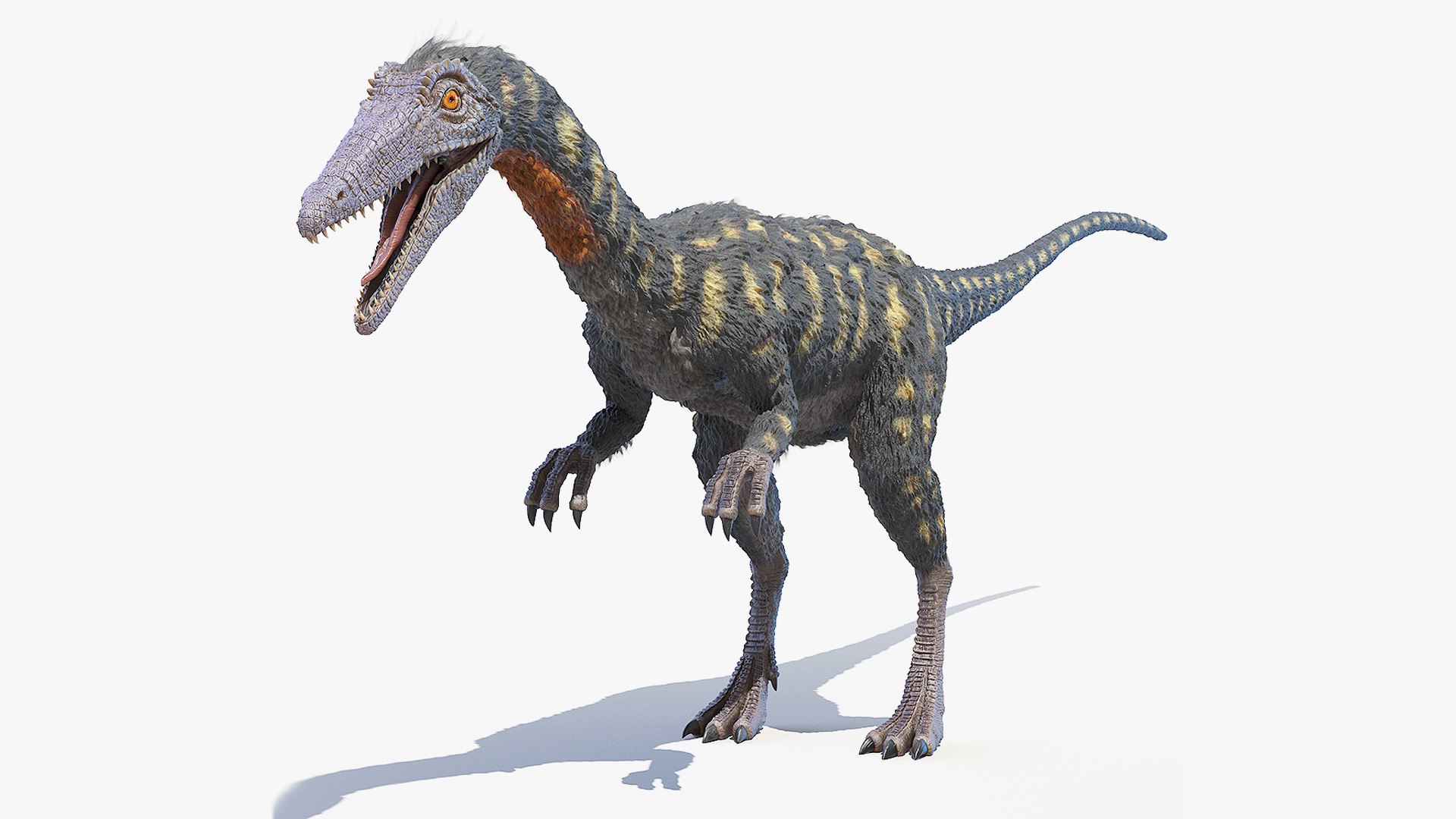 3D model coelophysis https://p.turbosquid.com/ts-thumb/u7/sv0hHT/3steW2Mj/coelophysis_sig_cinema/jpg/1593616552/1920x1080/fit_q87/7a0011c8b2c1ed58eb82b5eb5da291a2cbfb4a1b/coelophysis_sig_cinema.jpg