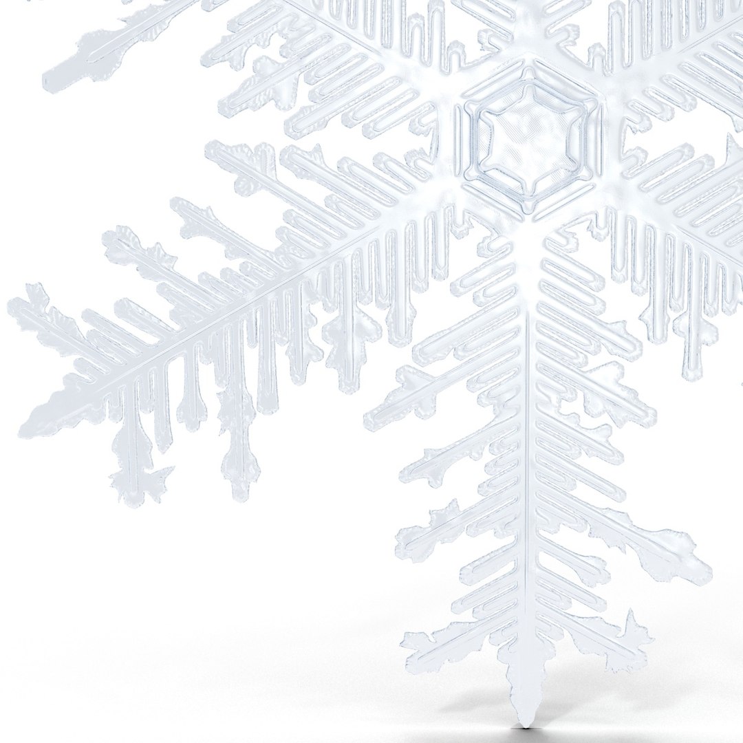 Max Snowflake 9