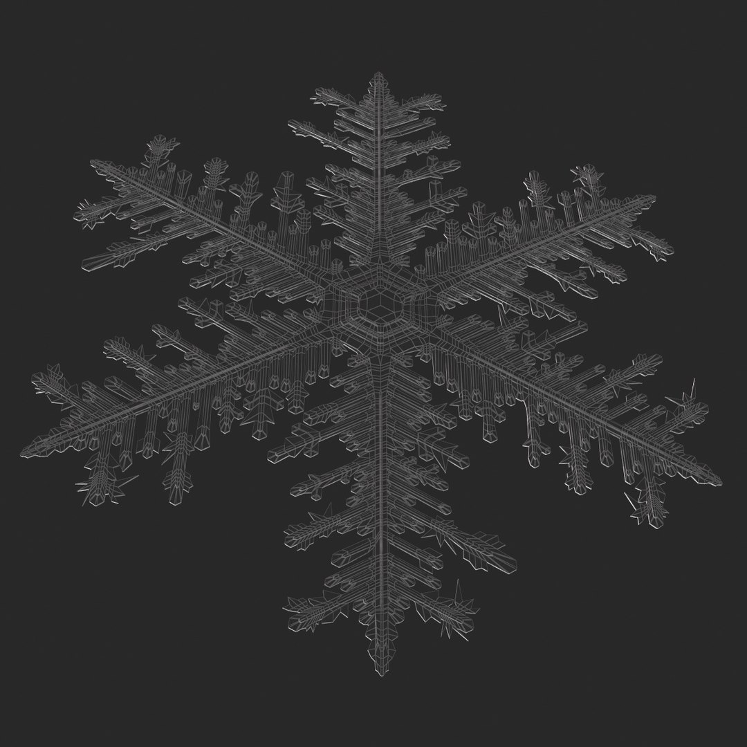 Max Snowflake 9