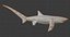 thresher shark 3D