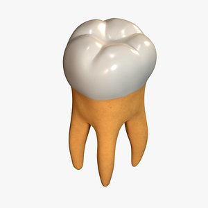 3D Enamel molar tooth