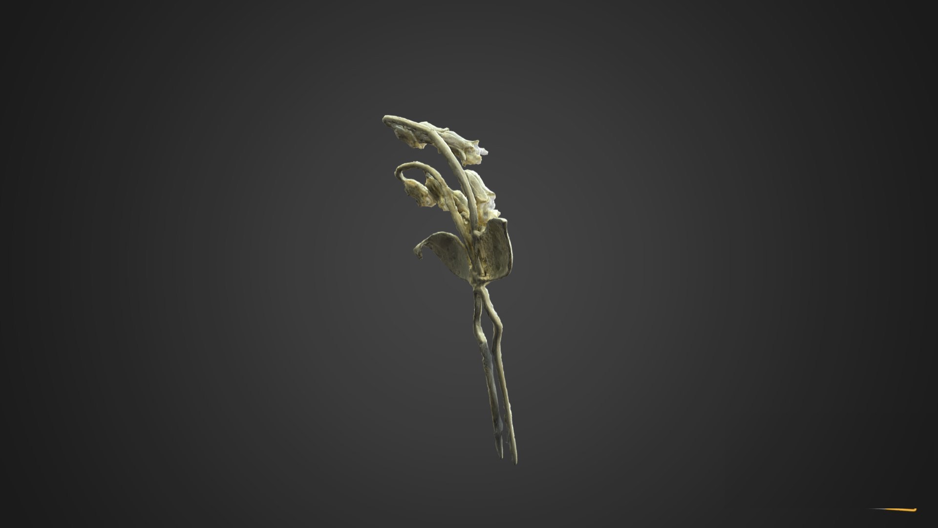 3D Korean Traditional Hairpin Binyeo 4 https://p.turbosquid.com/ts-thumb/u8/B7mc9f/8V/20230110_121247/png/1674990281/1920x1080/fit_q87/b7d96ff5a3ba8242df2b15e27baea7692b0f5959/20230110_121247.jpg
