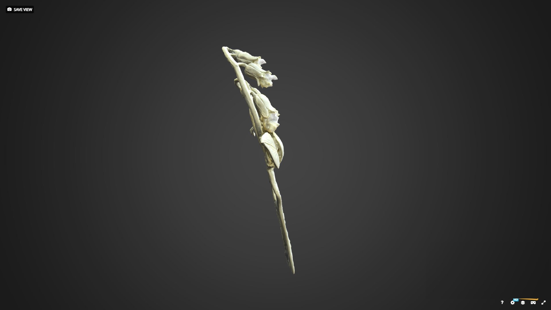 3D Korean Traditional Hairpin Binyeo 4 https://p.turbosquid.com/ts-thumb/u8/B7mc9f/Kz/20230110_121307/png/1674990283/1920x1080/fit_q87/709e934369bdf5027cc78e160b3ae3077373eea3/20230110_121307.jpg