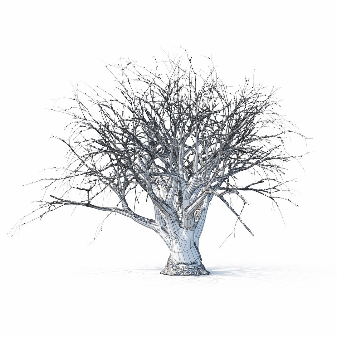 3D winter tree https://p.turbosquid.com/ts-thumb/u8/FtPc94/415vHS1g/w_01copy18/jpg/1514812252/1920x1080/fit_q87/7cdef69a48f88e044c97e5161ff365ffea0bfd91/w_01copy18.jpg