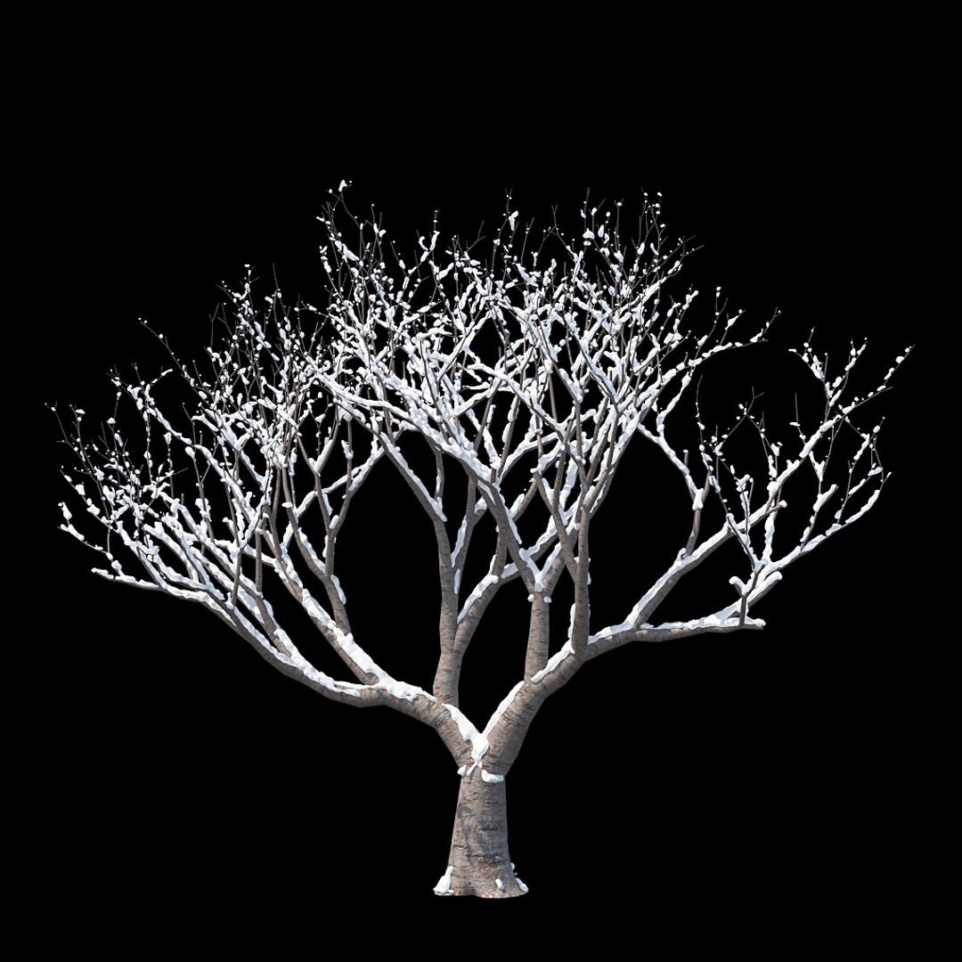 3D winter tree https://p.turbosquid.com/ts-thumb/u8/FtPc94/6iESAfQI/winter_tree_turntable_0000copy/jpg/1514811116/1920x1080/turn_fit_q99/0b531cf048ebf9e629afd15f04a1c2b3d22c4600/winter_tree_turntable_0000copy-1.jpg