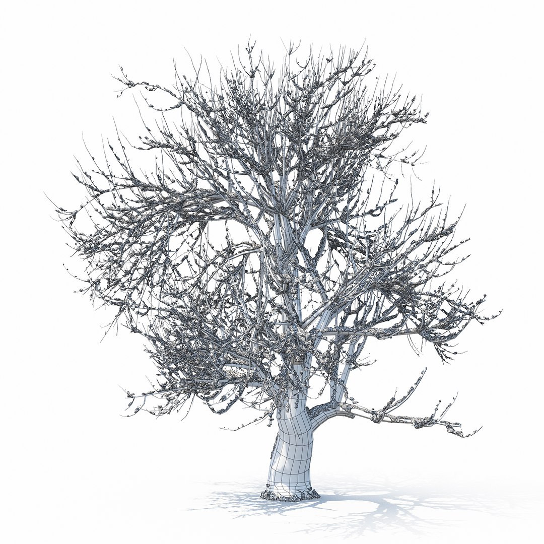 3D winter tree https://p.turbosquid.com/ts-thumb/u8/FtPc94/7b0x5OK5/w_01copy31/jpg/1514812253/1920x1080/fit_q87/3a7ff755739da10a33a8248bfa9f8c84f74d2cc8/w_01copy31.jpg
