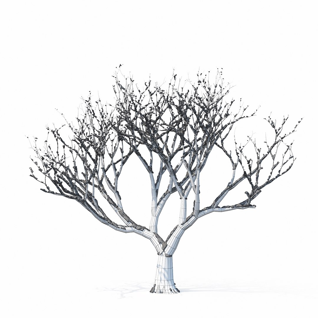 3D winter tree https://p.turbosquid.com/ts-thumb/u8/FtPc94/7s9oo0lG/w_01copy27/jpg/1514812252/1920x1080/fit_q87/0a08c6dacca0d95c3610ff4b04e4ebd3a2d980e0/w_01copy27.jpg