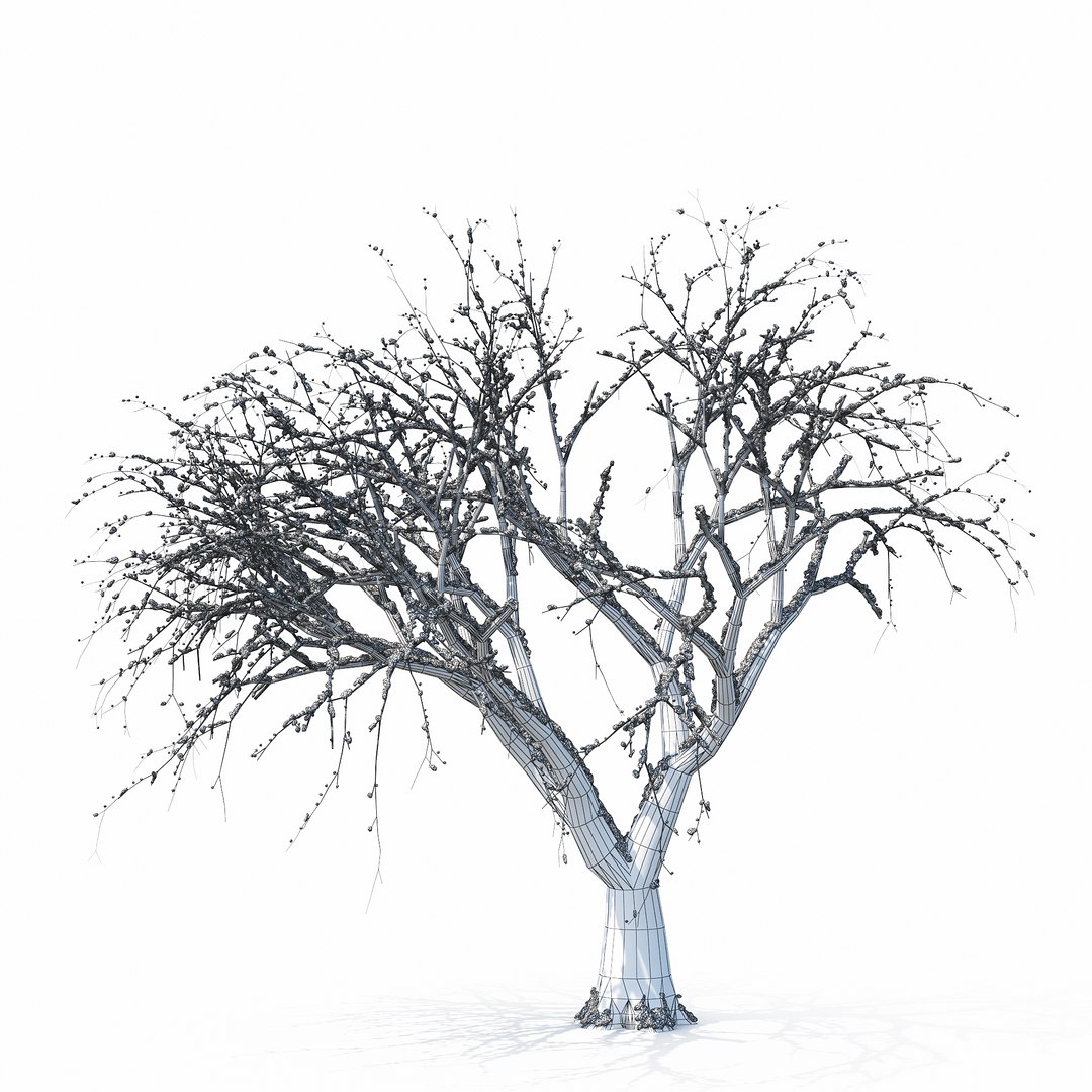 3D winter tree https://p.turbosquid.com/ts-thumb/u8/FtPc94/SCebXzIu/w_01copy26/jpg/1514812252/1920x1080/fit_q87/e9ddbc388457bae5e0c30bb5777940131ad4872a/w_01copy26.jpg