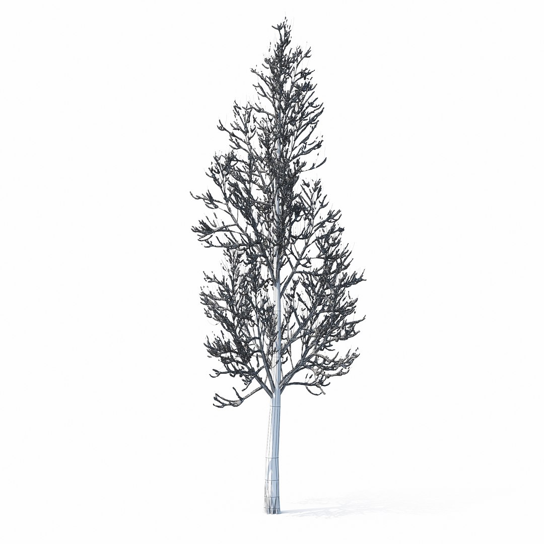 3D winter tree https://p.turbosquid.com/ts-thumb/u8/FtPc94/Vj5nsQXf/w_01copy21/jpg/1514812252/1920x1080/fit_q87/bd611687adb5d483d3c7143724e3d4146aee1a43/w_01copy21.jpg