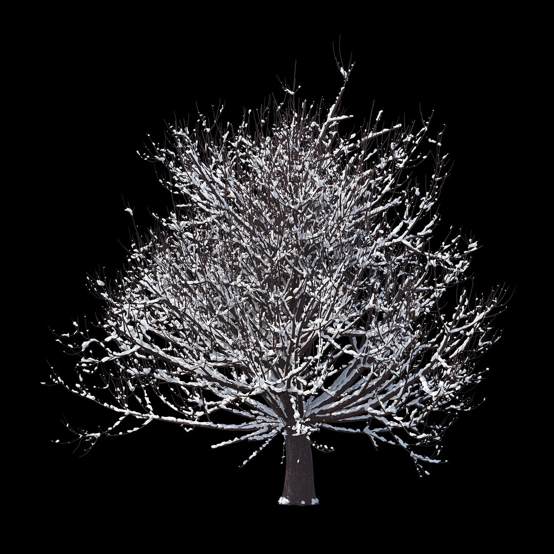3D winter tree https://p.turbosquid.com/ts-thumb/u8/FtPc94/dHttmH2h/_winter_tree_08/jpg/1514812093/1920x1080/fit_q87/ed67b0d93e1c4a4256dd61e9ed592fb235751246/_winter_tree_08.jpg