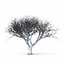Colección de arboles de invierno