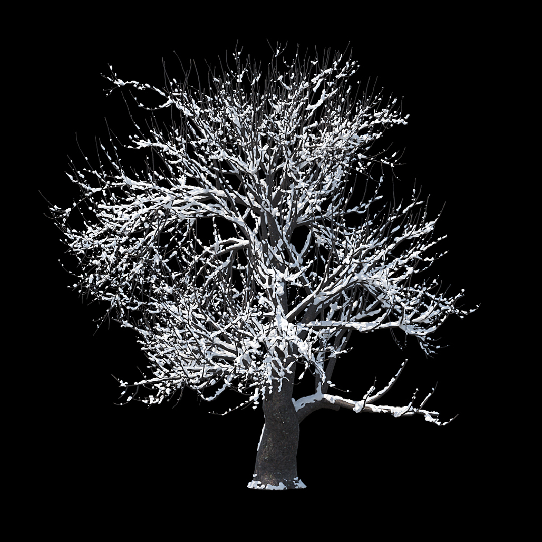 3D winter tree https://p.turbosquid.com/ts-thumb/u8/FtPc94/j1FIurkK/winter_tree_turntable_0000copy/jpg/1514811063/1920x1080/turn_fit_q99/ff37c51b692729b921a5da268e3b16afe5184789/winter_tree_turntable_0000copy-1.jpg