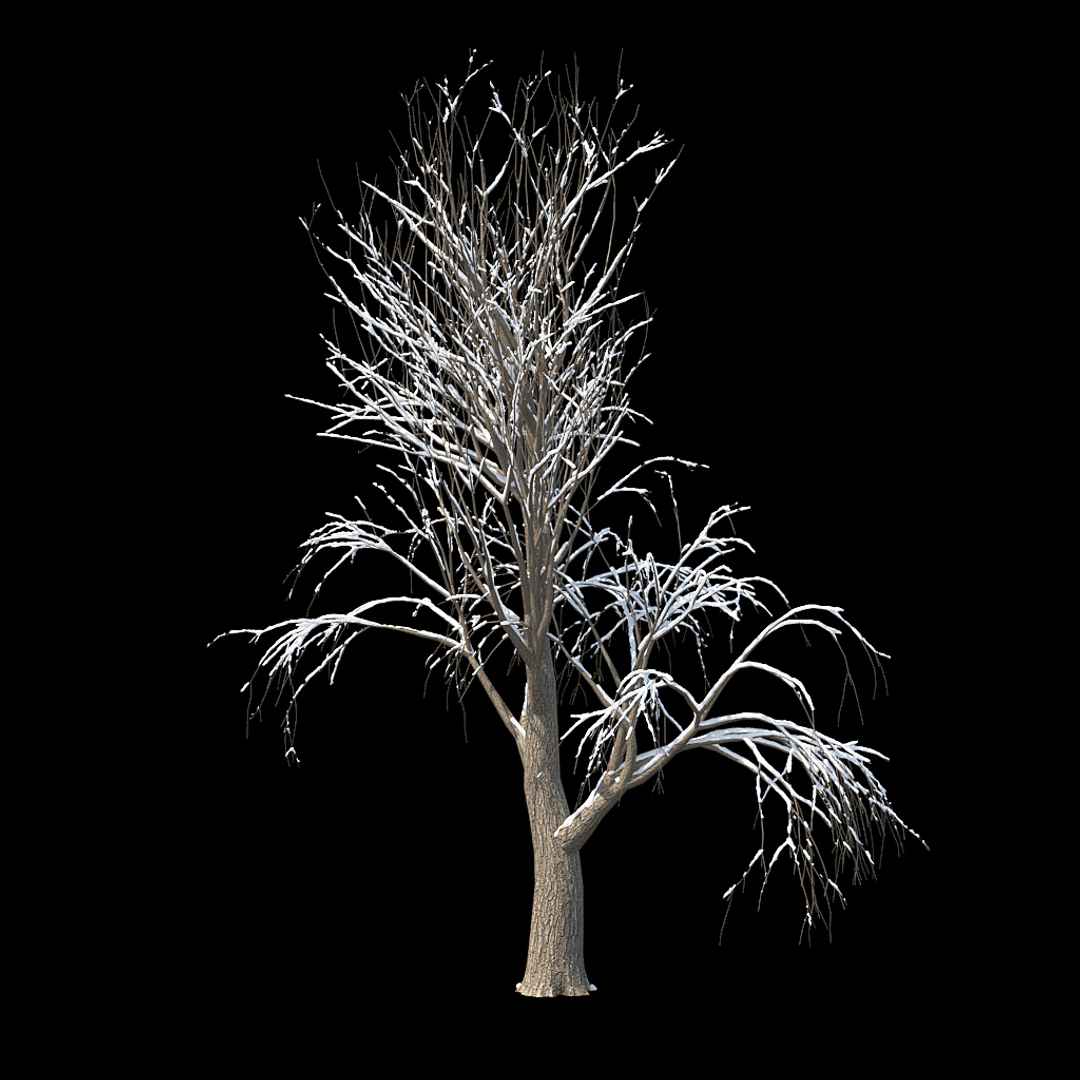 3D winter tree https://p.turbosquid.com/ts-thumb/u8/FtPc94/kY1YDsoQ/winter_tree_turntable_0000copy/jpg/1514811770/1920x1080/turn_fit_q99/d6fda643deeeaaa1cbc3604b624ba7c1e45ece5e/winter_tree_turntable_0000copy-1.jpg