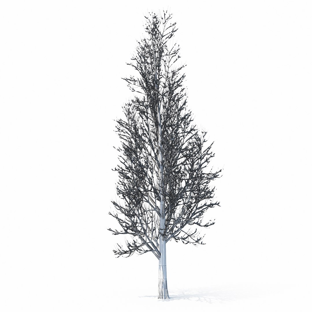 3D winter tree https://p.turbosquid.com/ts-thumb/u8/FtPc94/l6BpjVFf/w_01copy22/jpg/1514812252/1920x1080/fit_q87/f506f1ce0bffa4d2c79541817d63a0a99fd78298/w_01copy22.jpg