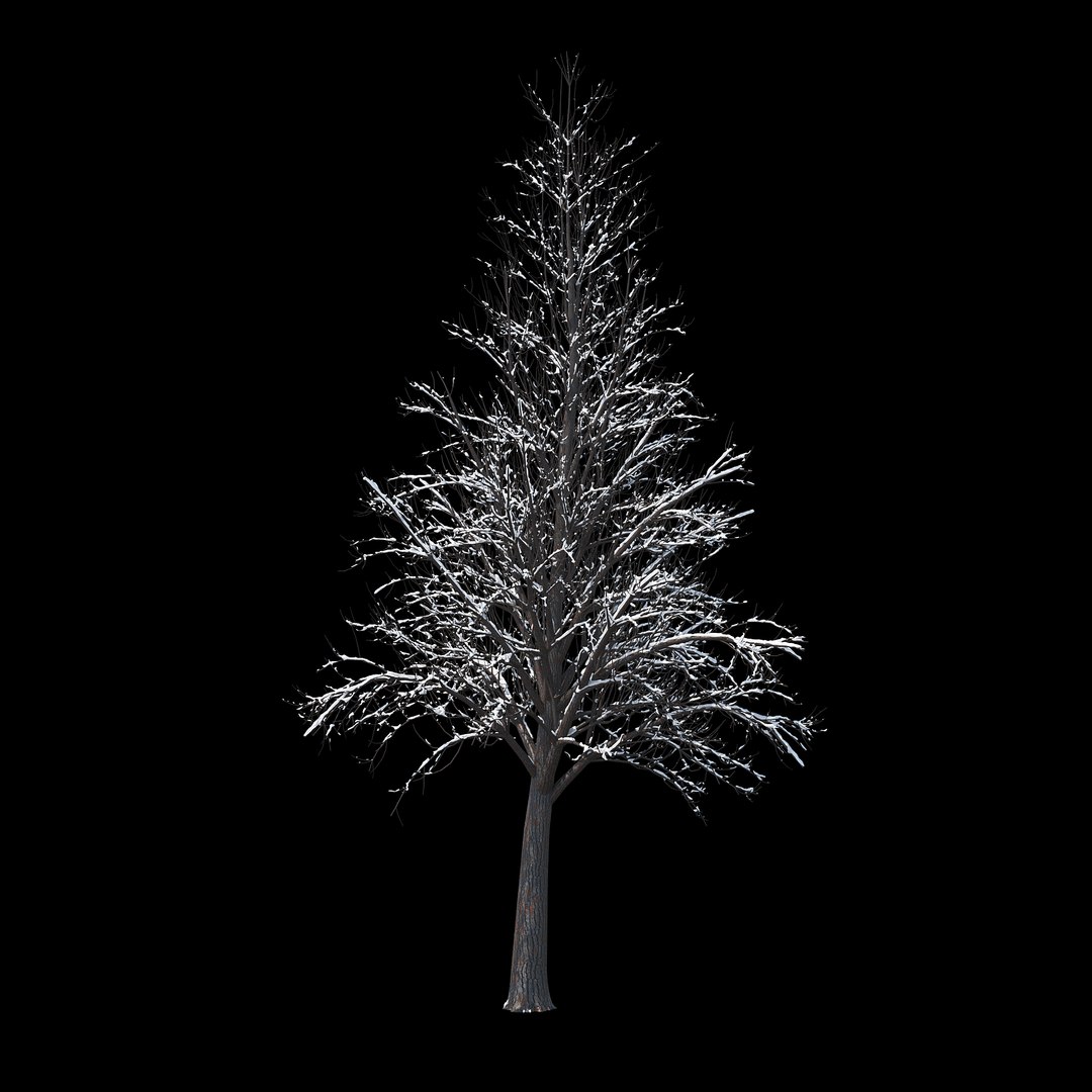 3D winter tree https://p.turbosquid.com/ts-thumb/u8/FtPc94/vbMwvpvf/_winter_tree_034/jpg/1514812093/1920x1080/fit_q87/62c8ab19613ab24b4a34098711c1804c82369017/_winter_tree_034.jpg