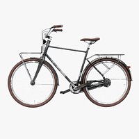 Aged Dutch Men City Bicycle PBR Textured