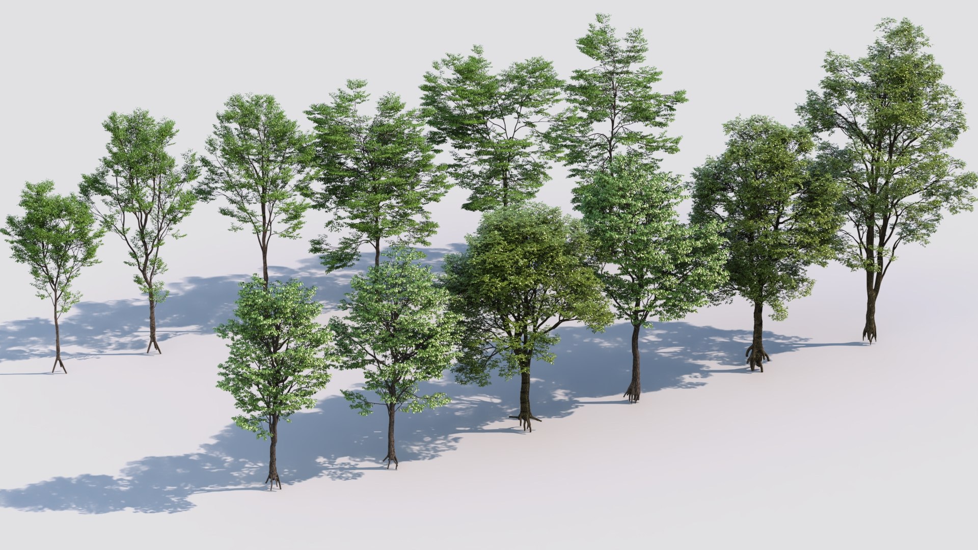 3D Collection Of 3D Models Of Landscape Trees - TurboSquid 2254282