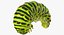 papilio machaon caterpillar rigged 3d max