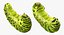 papilio machaon caterpillar rigged 3d max