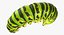 papilio machaon caterpillar rigged 3d max