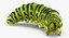 papilio machaon caterpillar rigged 3d max