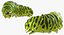 papilio machaon caterpillar rigged 3d max