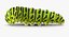 papilio machaon caterpillar rigged 3d max