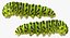 papilio machaon caterpillar rigged 3d max