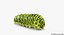 papilio machaon caterpillar rigged 3d max