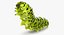 papilio machaon caterpillar rigged 3d max