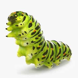 papilio machaon caterpillar rigged 3d max