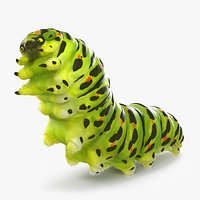 Papilio Machaon Caterpillar Rigged with Fur