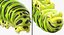 papilio machaon caterpillar rigged 3d max