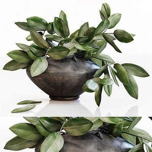3D amazing plant black vase model
