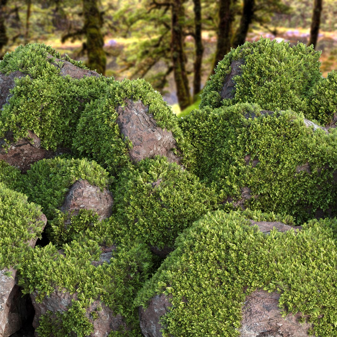 3D Mossy Rock Garden Collection Vol 140 TurboSquid 1984169
