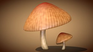 Mushroom 3