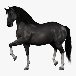 3d model horse black rigged fur