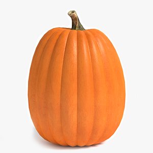 3d model pumpkin